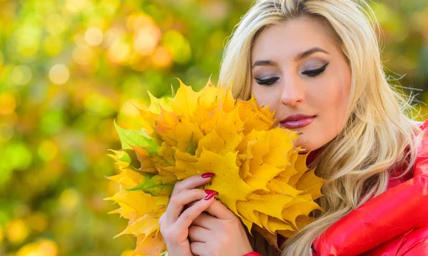 Lady poserar med löv höst natur bakgrund. Höstens favorit säsong koncept. Hösten är hennes favoritårstid. Kvinna promenad i höst parken. Girl Makeup drömmande Face Hold gäng lönn löv — Stockfoto