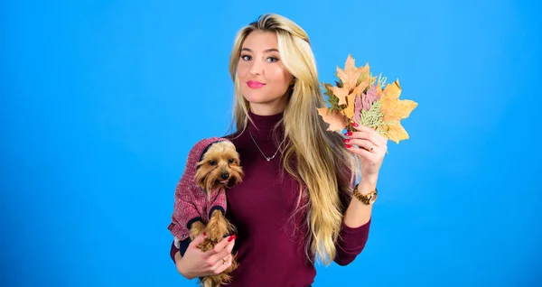 Material para animais. Vestindo seu cão para o tempo frio. Os cães precisam de roupa. Que raças de cães devem usar casacos. Mulher carrega yorkshire terrier. Menina atraente loira abraço bonito cão. Vestuário e acessórios — Fotografia de Stock