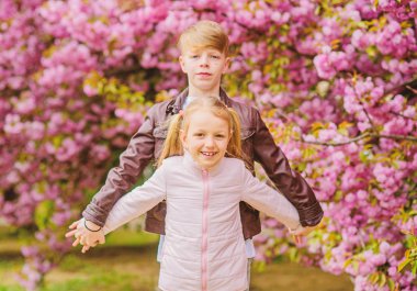 Çift sevimli sevimli çocuklar sakura bahçe yürümek. Şefkatli aşk duyguları. Küçük kız ve oğlan. Parkta romantik bir randevu. Aşık olmak için bahar zamanı. Pembe kiraz çiçeğine aşık çocuklar. Havada aşk var.