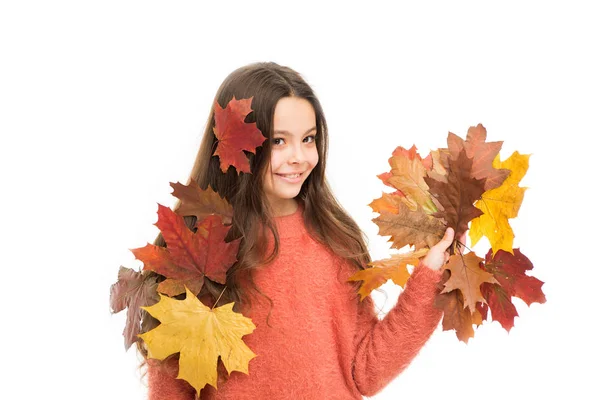 Bambino felice isolato su bianco. ragazza con foglia d'acero. ragazza sorridente in maglione autunnale. previsioni del tempo. foglie cadute in autunno bellezza della natura. stagione scolastica. moda vestiti caldi. cura dei capelli — Foto Stock