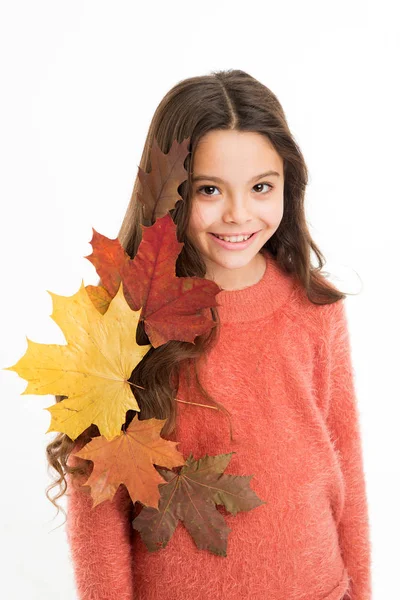 Mosolygós lány őszi pulcsiban. időjárás előrejelzés. lehullott levelek őszi természet szépsége. iskolai szezon. Meleg ruha divat. boldog kisgyerek elszigetelt fehér. juharfalevelű lány. kedvenc időjárás — Stock Fotó