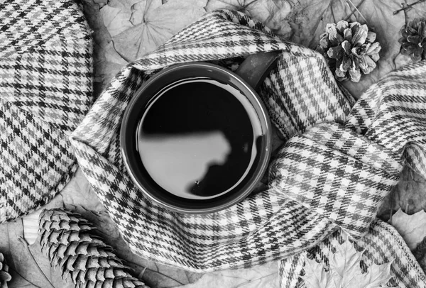 Becher kuschelige aromatische Getränke Schal und Kepi. Heißgetränk für den Herbstspaziergang. Tasse Tee bedeckt von Schal herbstlichen Hintergrund mit gefallenen Ahornblättern und Tannenzapfen umgeben. Erwärmendes Getränk — Stockfoto