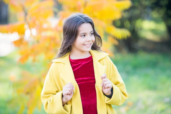 Ora di scuola. previsioni del tempo. foglie cadute nella foresta. natura autunnale. moda stagione scolastica. bambino felice all'aperto. ragazza con foglia d'acero. Passeggiando nel parco. ragazza alla moda in cappotto autunno — Foto Stock