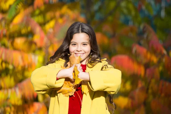 Örökké itt maradnék. lehullott levelek az erdőben. őszi természet. Iskolai divat. boldog kisgyerek kint. juharfalevelű lány. Sétálok a parkban. trendi lány őszi kabátban. időjárás-előrejelzés — Stock Fotó