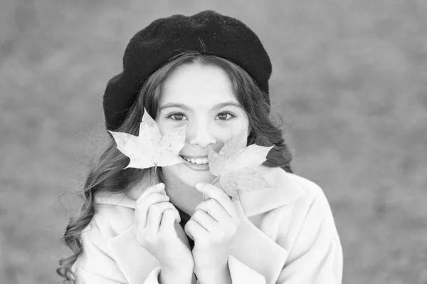 Wskazówki do toczenia jesień do najlepszy sezon. Dziecko dziewczynka twarz uśmiechający się trzymać liści klonu. Dziecko z jesień klon opuszcza spacerem. Jesienne przytulności jest zaledwie około. Mała dziewczynka podekscytowany o jesieni — Zdjęcie stockowe