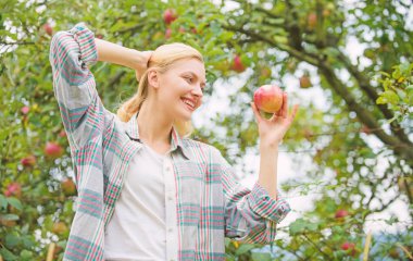 meyve ağacı elma hasat. Bahar hasat. yaz meyve. Mutlu kadın yeme elma. sağlıklı dişler. açlık. Orchard, elma bahçesinde bahçıvan kız. vitamin ve yemek diyet. Park'ta rahatlatıcı