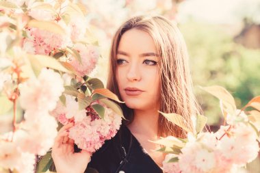 Sakura ağacı çiçek açıyor. Yumuşak ve yumuşak. Muhteşem çiçek ve dişi güzellik. Pembe cennet. Bahar çiçekli kadın çiçek açar. Cilt bakımı ve spa. Cilt için doğal kozmetik. Kiraz çiçekli kız.