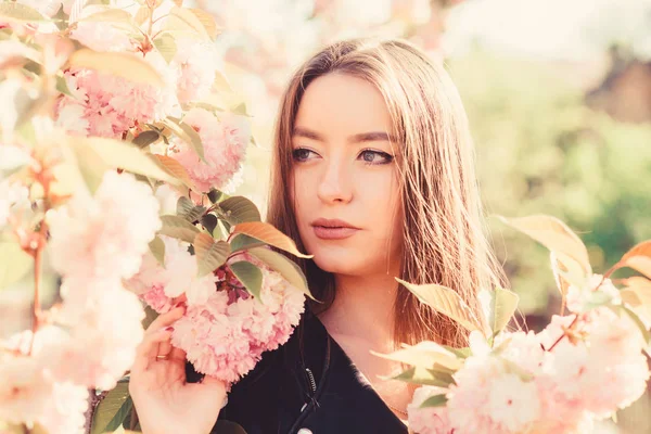 Sakura arbre en fleurs. Doux et tendre. Superbe fleur et beauté féminine. Le paradis rose. Femme en fleur de printemps fleurissent. Soins de la peau et spa. Cosmétiques naturels pour la peau. Fille en fleur de cerisier fleur — Photo