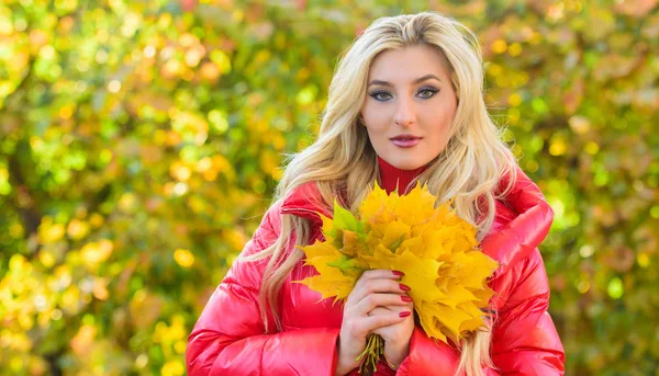 Kadınlar sonbahar parkında keyifli vakit geçirirler. Kız sarışın makyaj rüya gibi yüz tutun demet düşmüş akçaağaç sarı yaprakları. Bayan sonbahar doğa arka plan yaprakları ile poz. Sonbahar buketi konsepti