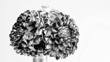 şişede gümüş ve altın krizantem çiçek. zenginlik ve zenginlik. floristics iş. Vintage. lüks ve başarı. metalanmış antik dekor. grunge güzellik. beyaz izole. Noel Dekor.