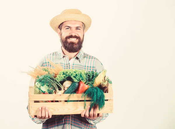 농부 소박한 수염 남자는 자생 야채 흰색 배경 나무 상자를 개최합니다. 농부 남자는 수확을 수행. 현지에서 재배한 식품. 농부 라이프 스타일 전문 직업입니다. 현지 음식 구매 — 스톡 사진