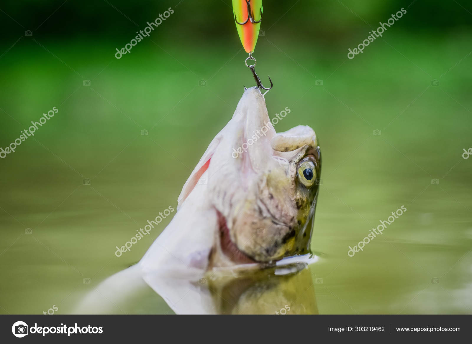 Fishing Hook Hanging On A Fishing Line Stock Photo - Download