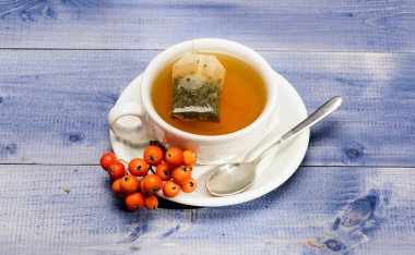 Bitki çayı. Seramik fincan sıcak taze demlenmiş çay içecek. Sağlık hizmetleri halk ilaçları. İçecek aromatik rowanberry içecek. Mavi arka planda bir fincan çay yakın. Gurme lezzetli tadı. Cafe menüsü