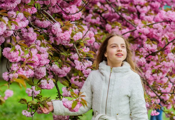 Pink is my favorite. Little girl enjoy spring. Kid pink flowers of sakura tree garden. Kid enjoying pink cherry blossom. Tender bloom. Bright and vibrant. Soft and tender. Pink is on my mind