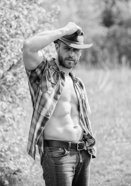 Um tipo barbudo de cowboy na natureza. Macho seis pacotes torso usar roupas de estilo rústico e chapéu de cowboy. Cowboy forte e confiante. Proprietário do Rancho. Homem sem barba rosto torso muscular cowboy. Conceito de exploração — Fotografia de Stock