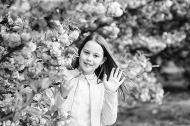 İhale çiçek. Sakura ağacı arka plan pembe çiçekler çocuk. Kız Cherry Blossom veya Sakura zevk. Sevimli çocuk sıcak bahar günü tadını çıkarın. Aromatik çiçeği kavramı. Kız turist poz yakın Sakura