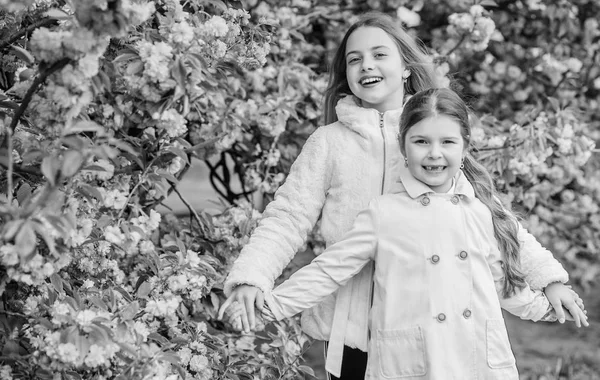 Perso in fiore. Bambini su fiori rosa di sfondo albero di sakura. Concetto botanico. Ai bambini piace il sakura ai fiori di ciliegio. Fiori morbide nuvole rosa. I bambini godono della calda primavera. Ragazze in posa vicino a sakura — Foto Stock