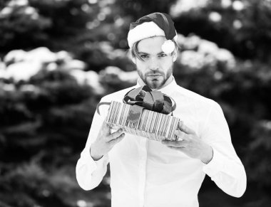 yakışıklı sakallı adam ya da kırmızı noel baba şapka ve gömlek kış açık yeşil köknar ağacı ile yeşil köknar ağacı nda seksi noel adam doğal backgrou mevcut kutu tutar