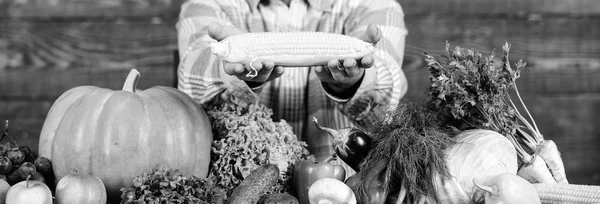 Healthy lifestyle. Farmer hold corncob or maize wooden background. Farmer presenting organic homegrown vegetables. Homegrown organic harvest benefits. Grow organic crops. Community gardens and farms — Stock Photo, Image