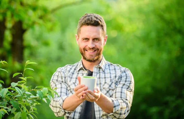 Yeşil çayı tercih ederim. Ferahlatıcı bir içki. Adam sakallı çay çiftçi kupa doğa arka plan tutun. Yeşil çay tarlası. Bütün yaprak çayı. Öz bakım keyifli bir an. Doğal içecek. Sağlıklı yaşam tarzı