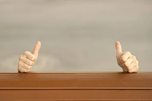 If you like it thumbs ups. Human hands giving thumbs ups sign on grey background. Extending hands with thumbs ups gestures. Gesturing thumbs ups, copy space