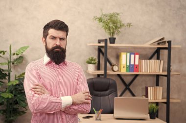 Ofisteki kendine güvenen sakallı adam. Kendine güvenen bir iş adamı. Ofis hayatı. İş yerindeki ciddi sakallı adam. Kendine güvenen bir yönetici. Kendine güvenen bir CEO. Güven ve başarı. CEO ofisi. İş adamları.