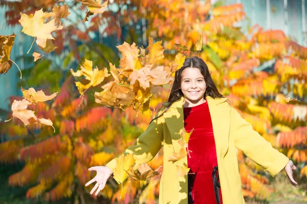 Счастливый маленький ребенок на открытом воздухе. девушка с кленовым листом. прогулки в парке. модная девушка в осеннем пальто. прогноз погоды. опавшие листья в лесу. Осенняя природа. мода школьного сезона. Каждый день победитель — стоковое фото