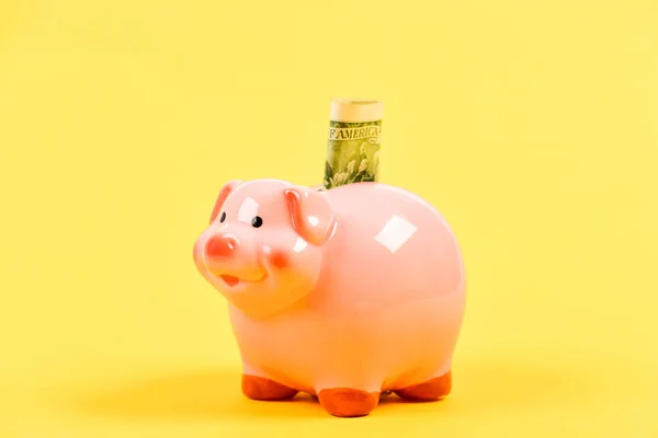 Success in finance and commerce. piggy bank with golden coin stack. Moneybox. business startup. financial position. getting rich. income. saving money. retirement. family budget. Need some cash — Stock Photo, Image