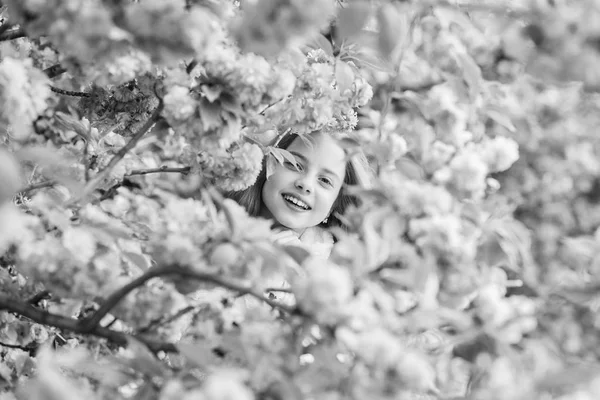 İhale çiçeklenme. Sakura ağacı arka plan pembe çiçekler üzerinde Çocuk. Botanik kavramı. Kiraz çiçeği sakura zevk kız. Sevimli çocuk ılık bahar günü tadını çıkarın. Çiçekte kaybolmuş. Kız turist sakura yakınında poz — Stok fotoğraf