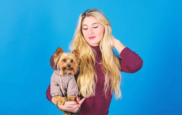 Material para animais. Cão de vestir para o tempo frio. Que raças de cães devem usar casacos. Mulher carrega yorkshire terrier. Os cães precisam de roupa. Menina adorável loira abraço pequeno cão de casaco. Vestuário e acessórios — Fotografia de Stock