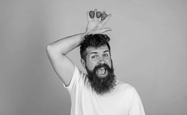 Homme barbu hipster tient la main avec des fraises au-dessus de la tête comme couronne. Concept de roi des fraises. Hipster heureux visage barbu avec couronne. Homme jardinier réussi roi de fraise fond bleu — Photo