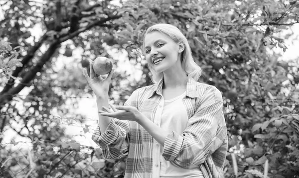 Mulher feliz comendo maçã. pomar, menina jardineiro no jardim da maçã. vitamina e dieta alimentar. Dentes saudáveis. fome. colheita de primavera. fruta de verão. descanso e saúde. menina no jardim de outono de maçãs — Fotografia de Stock