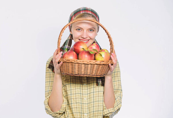 Сельский садовник собирает яблоки. Девушка садовник деревенский стиль держать яблоко белого фона. Здравоохранение и витаминное питание. Идеальное яблоко. Продуктовый магазин. Садись на диету. Женщина любит натуральные фрукты
