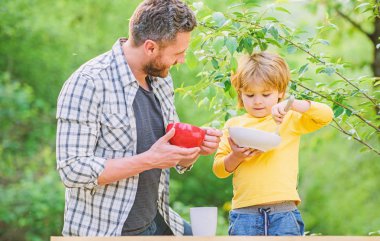 Küçük çocuk ve babam yemek yiyor. Beslenme çocuklar ve yetişkinler. Organik beslenme. Sağlıklı beslenme kavramı. Beslenme alışkanlıkları. Aile ev yapımı yemeklerin tadını çıkarır. Kişisel örnek. Baba oğluna doğal yemek yemeyi öğretiyor.