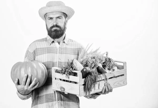 Compre alimentos locales. Granjero rústico barbudo hombre sostiene caja de madera con verduras de cosecha propia y calabaza fondo blanco. El granjero lleva cosecha. Alimentos cultivados localmente. Granjero estilo de vida ocupación profesional —  Fotos de Stock