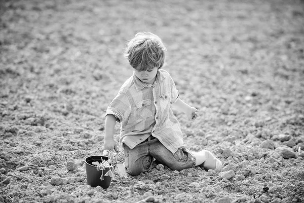 Child having fun with little shovel and plant in pot. Planting in field. Planting seedlings. Little boy planting flower in field. Fun time at farm. Happy childhood concept. Little helper in garden — Stock Photo, Image