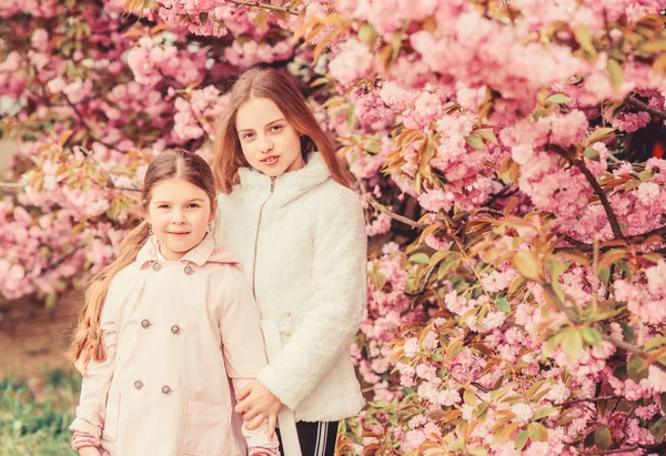 Perdido en flor. Chicas posando cerca de Sakura. Niños sobre flores rosadas de sakura fondo de árbol. Concepto botánico. Niños disfrutando de sakura de flor de cerezo. Flores suaves nubes rosadas. Los niños disfrutan de primavera cálida —  Fotos de Stock