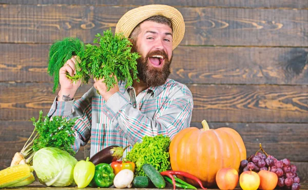 Onun hasat ahşap arka plan gurur sakallı adam. Organik gübre hasat yapmak sağlıklı ve zengin. Çiftçi homegrown sebze hasat ile. Organik böcek kontrolü. Mükemmel kalitede hasat — Stok fotoğraf