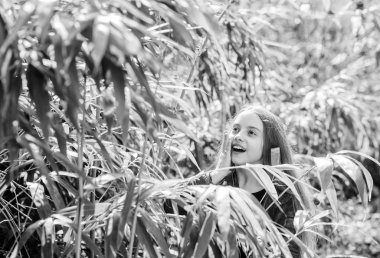 Botanik bahçesine bir gezi. Bitkiler halka sergilenmek için yetiştiriliyor. Kız botanik bahçesinde yürüyor. Doğanın tadını çıkarıyorum. Huzurlu bir çevre bahçesi. Tatlı çocuk parkta vakit geçiriyor. Bahçeyi keşfet.