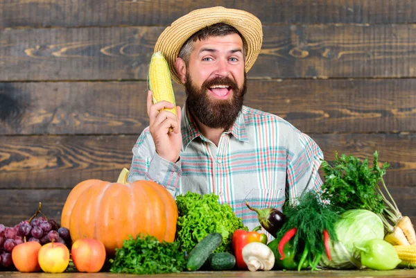 Farmer hold corncob or maize wooden background. Farmer presenting organic homegrown vegetables. Grow organic crops. Community gardens and farms. Healthy lifestyle. Homegrown organic harvest benefits