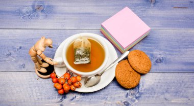 İçecek aromatik rowanberry içecek. Sağlık hizmetleri halk ilaçları. Mavi arka planda bir fincan çay yakın. Gurme lezzetli tadı. Dut çayı. Seramik fincan sıcak taze demlenmiş çay içecek. Sıcak içecek