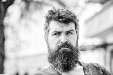 Vahşi erkeğin berbere ihtiyacı var. Sakallı adam yalnızlık hisseder. Açık havada düşünceli bir adam. Yüz bakımı. Bekliyor ve tamir ediyor. Sakallı, olgun bir hippi. Havalı ve seksi