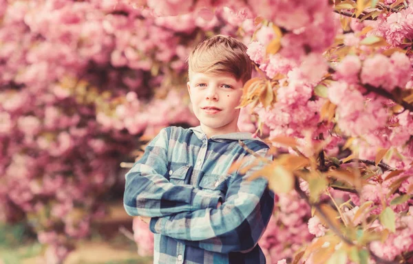 Navštivte zahradu Sakura. Chlapec pózuje blízko Sakury. Dítě na růžové květy sakura stromu pozadí. Botanický koncept. Chlap, co si užívá třešňové sakury. Něžná květinka. Roztomilé dítě si vychutnat teplý jarní den — Stock fotografie