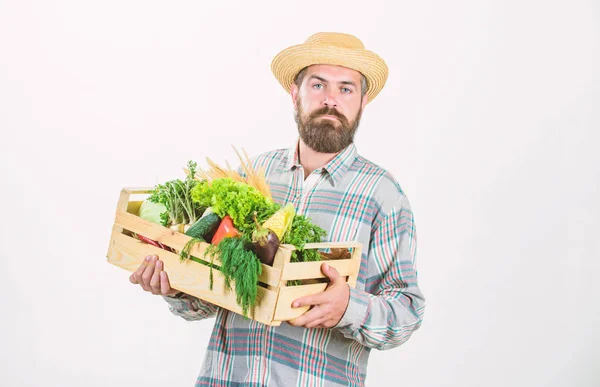 Amante della natura. Festa del raccolto. contadino maturo barbuto. cibo vitaminico stagionale. Frutta e verdura utili. alimenti biologici e naturali. Buon Halloween. uomo chef con ricco raccolto autunnale. uomo e natura — Foto Stock