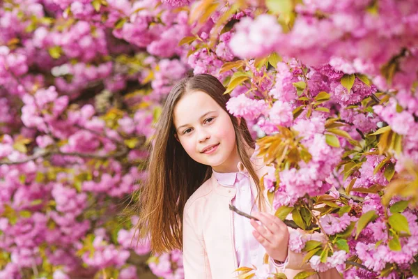 Dziewczyna turystyczny stwarzające w pobliżu Sakura. Delikatny rozkwit. Dziecko na różowe kwiaty z drzewa Sakura tle. Dziewczyna korzystających kwiat wiśni lub Sakura. Cute dziecko cieszyć ciepły dzień wiosny. Koncepcja kwiatów aromatycznych — Zdjęcie stockowe