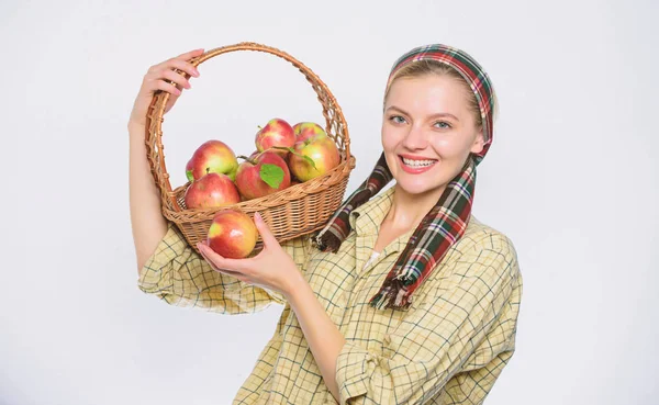 Женщина любит натуральные фрукты. Сельский садовник собирает яблоки. Девушка садовник деревенский стиль держать яблоко белого фона. Здравоохранение и витаминное питание. Продуктовый магазин. Идеальное яблоко. Начните яблочную диету — стоковое фото