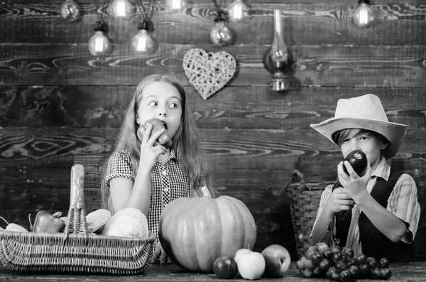 Fattoria di famiglia. Bambini che presentano fattoria raccolta sfondo in legno. I fratelli si divertono. Mercato agricolo. L'agricoltura insegna ai bambini da dove viene il cibo. Bambini agricoltori ragazza ragazzo verdura raccolto — Foto Stock