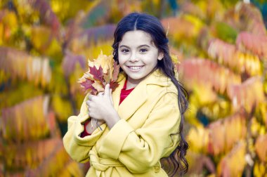 Sonbahar, renklerin çok güzel. Küçük kız renkli sonbahar yapraklarıyla oynarken iyi eğlenceler. Mutlu çocuk sonbahar manzarasında yürür. Küçük çocuk sonbahar parkında yürümekten hoşlanıyor. Mutlu düşüşler