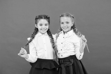 En iyi arkadaşlar mükemmel öğrenciler. Schoolgirls düzenli görünüm sizinle tanışmak için sevindim. Okulda yeni arkadaşlar edinin. Okul arkadaşlığı. Okul daha eğlenceli olmalı. Sevimli saç modeli ve mutlu gülümsüyor ile Schoolgirls