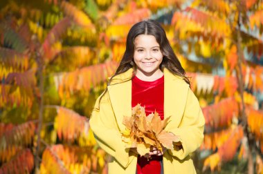 Anın tadını çıkar. Sonbahar sıcağı. Yaprak düştü. Sonbahar parkında yürüyen sonbahar montlu şık bir kız. Düşen yapraklar. Sonbahar doğası. Küçük mutlu çocuk yapraklarla oynuyor. Parkta yürüyen kız güneşli bir günde